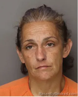 Mugshot of Ashley Nicole Gardner booked in Lancaster County, South Carolina on August 18, 2026
