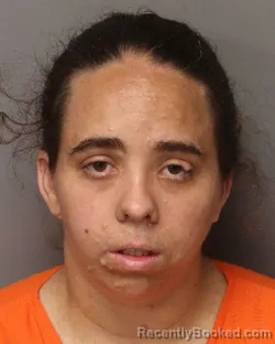 Mugshot of Katlyn Dawn Bryson booked in Lancaster County, South Carolina on August 22, 2026