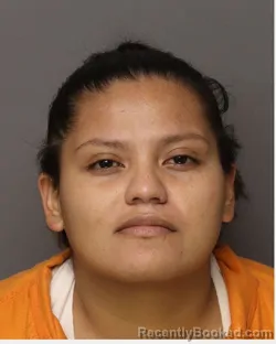 Mugshot of Sandra Elizabeth Linares-Gonzalez booked in Lancaster County, South Carolina on August 24, 2026