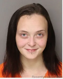 Mugshot of Erica Nicole Shrader booked in Lancaster County, South Carolina on August 25, 2026