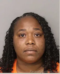 Mugshot of Camellia Quishonna Stover booked in Lancaster County, South Carolina on August 28, 2026