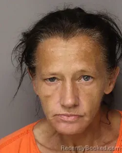 Mugshot of Gennie Lorraine Mcleod booked in Lancaster County, South Carolina on August 31, 2026