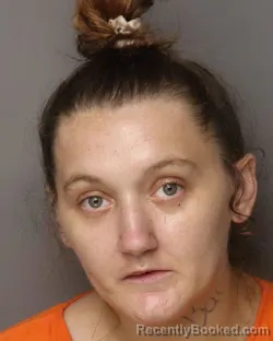 Mugshot of Meagan Nichole Capps booked in Lancaster County, South Carolina on September 14, 2026