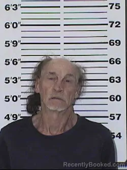 Mugshot of GARY ALLEN THOMAS booked in Appanoose County, Iowa on June 8, 2026