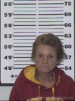 Mugshot of Mandy Kay Davis booked in Appanoose County, Iowa on September 29, 2026