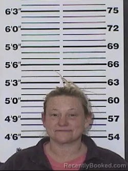 Mugshot of HALEY ANN PROBASCO booked in Appanoose County, Iowa on May 1, 2026