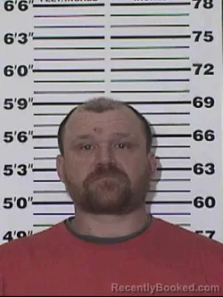Mugshot of WAYLON WAYNE MATHES