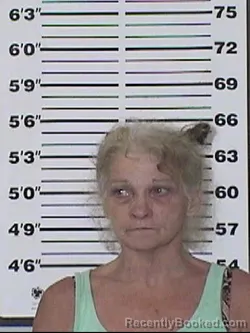 Mugshot of DEANN LYNN PATTERSON booked in Appanoose County, Iowa on June 6, 2026
