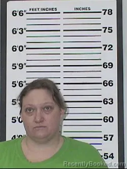 Mugshot of SHANNAH RAE BANKSON