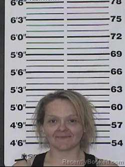 Mugshot of PATRICIA ELIZABETH SHONDEL
