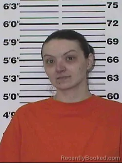 Mugshot of ASHLEY NICOLE BARGER