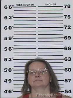 Mugshot of DESIREE DIANE MILLHOUSE booked in Appanoose County, Iowa on July 16, 2026