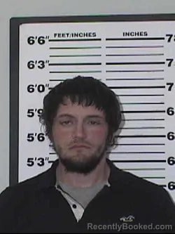 Mugshot of NATHAN GUY WELLS