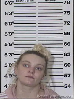 Mugshot of SHEALYNN LEAH EDWARDS booked in Appanoose County, Iowa on April 3, 2026