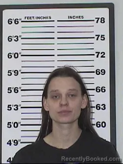 Mugshot of ASHLEE RENEE SLOAN booked in Appanoose County, Iowa on March 25, 2026