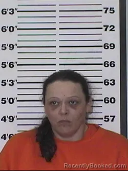 Mugshot of TANYA JOLENE MYERS booked in Appanoose County, Iowa on March 24, 2026