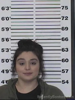 Mugshot of MADDISON MICHELLE HELMICK