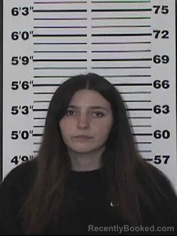 Mugshot of ABBY DAWN BASINGER booked in Appanoose County, Iowa on April 24, 2026