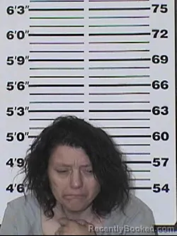 Mugshot of ANITA RENEA WARNER booked in Appanoose County, Iowa on June 8, 2026