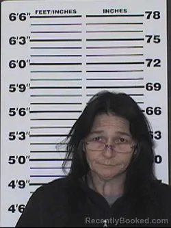 Mugshot of HEATHER MARIE WATSON booked in Appanoose County, Iowa on May 20, 2026