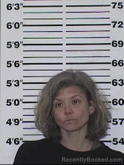 Mugshot of JESSICA RENEE FOX