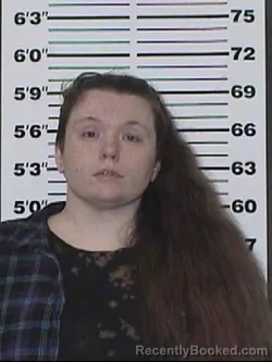 Mugshot of DIANA MICHEAL ADLER booked in Appanoose County, Iowa on April 28, 2026