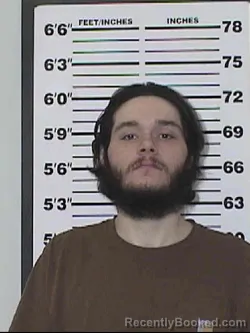 Mugshot of NATHAN ALLEN MICETICH
