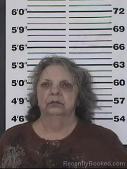 Mugshot of KRIS ANN HADDIX booked in Appanoose County, Iowa on April 13, 2026