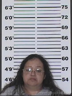 Mugshot of Claudia Candelari Landa booked in Appanoose County, Iowa on August 15, 2026