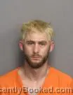 Mugshot of BRANDON SHANE POSTON