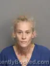 Mugshot of TERESA P S AMMONS booked in Laurens County, South Carolina on May 1, 2026