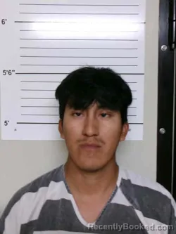 Mugshot of ELVIS FERMIN PU CHILISNA booked in Chickasaw County, Iowa on July 17, 2026