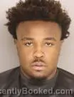 Mugshot of BRAD LEVAR JR NELSON booked in Lee County, South Carolina on June 18, 2026