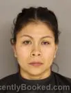 Mugshot of GREGORIA GOMEZ TINO booked in Lee County, South Carolina on April 18, 2026