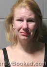 Mugshot of ALISHA ANN ANDRESEN booked in Clinton County, Iowa on July 12, 2026