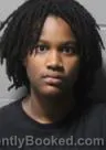 Mugshot of JANIYA L ECHOLS booked in Clinton County, Iowa on July 4, 2026