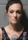Mugshot of LEXUS RAY GREGORY booked in Clinton County, Iowa on June 8, 2026
