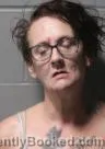 Mugshot of MICHELLE JENNIFER PERKINS booked in Clinton County, Iowa on July 10, 2026