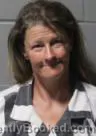 Mugshot of RENEE LEANN WALKER booked in Clinton County, Iowa on May 15, 2026
