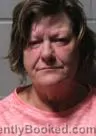 Mugshot of STACEY L BECK booked in Clinton County, Iowa on May 1, 2026