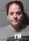 Mugshot of TOMI JO FOLEY booked in Clinton County, Iowa on May 6, 2026