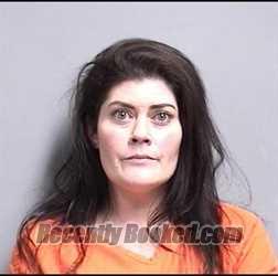 Booking photo from Dallas County, Iowa