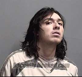 Booking photo from Dallas County, Iowa