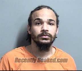 Booking photo from Dallas County, Iowa