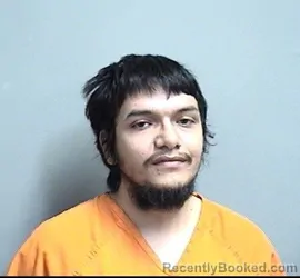 Booking photo from Dallas County, Iowa