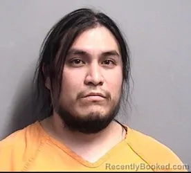 Booking photo from Dallas County, Iowa