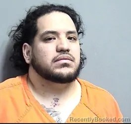 Mugshot of HENRY CASTRO