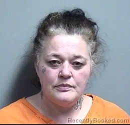 Mugshot of HIDIE ANN LEMON