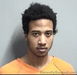 Mugshot of LOWERY ROSS