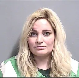 Mugshot of ASHLEY NICOLE PAULSEN